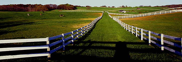 Albemarle County Horsefarm with White Fences, VA